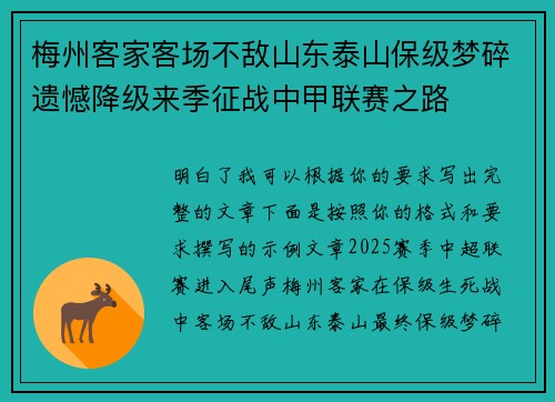 梅州客家客场不敌山东泰山保级梦碎遗憾降级来季征战中甲联赛之路